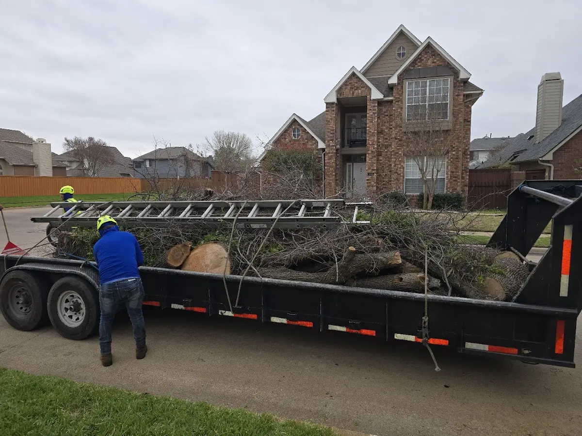 Expert Tree Removal with proper safety equipment in Richland